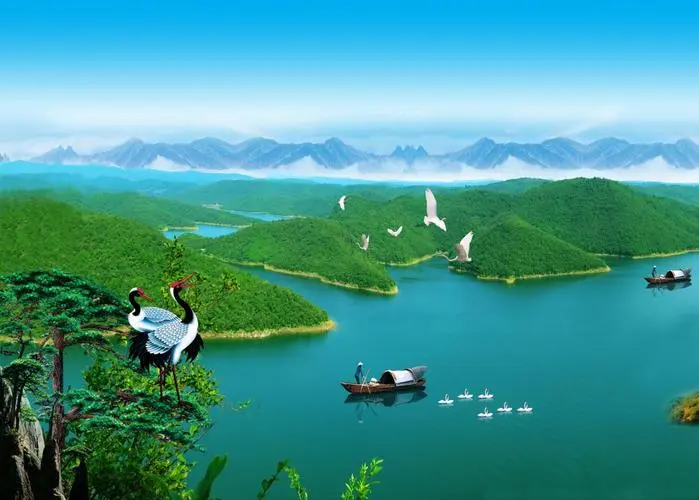 高精度全自动数字化